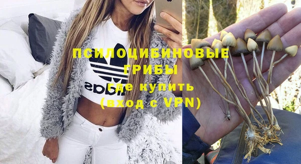 дурь Аркадак