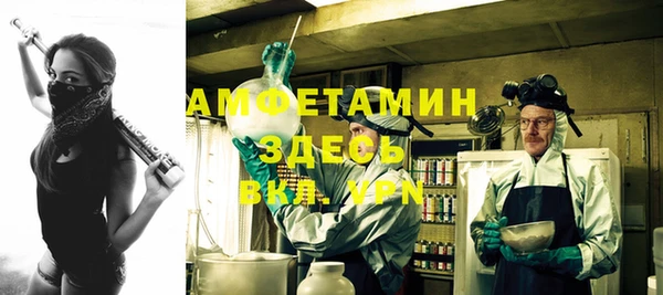 крисы Баксан